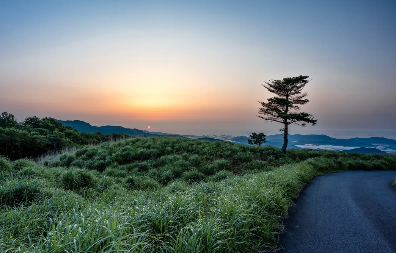 Photo wallpaper road, greens, forest, the sky, grass, the sun, trees, mountains