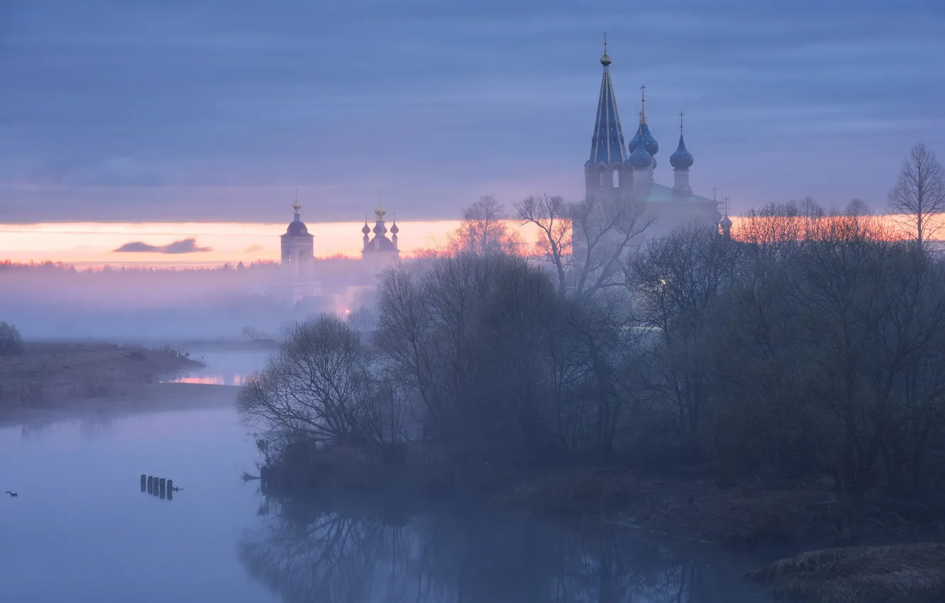 Photo wallpaper autumn, the sky, trees, branches, fog, dawn, spring, morning