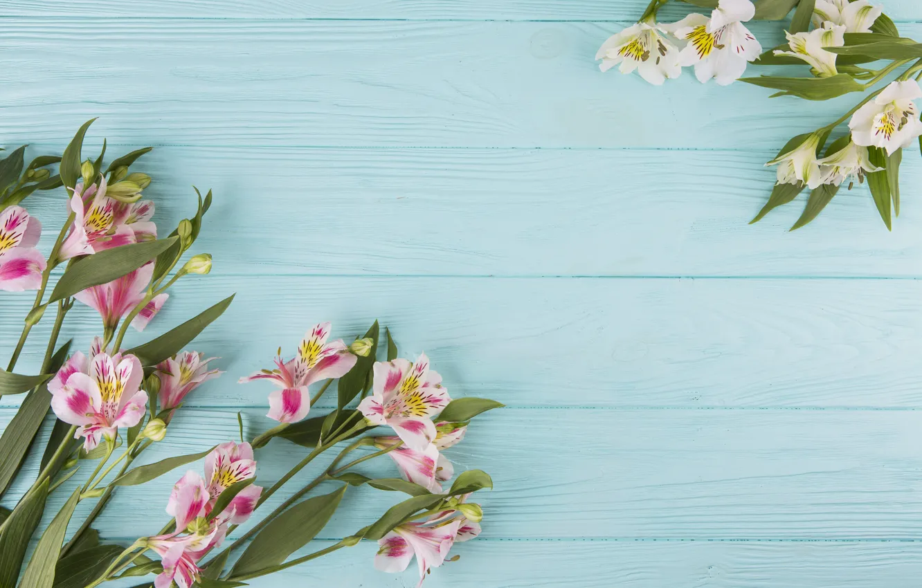 Photo wallpaper flowers, colorful, wood, pink, flowers, beautiful, spring, lily