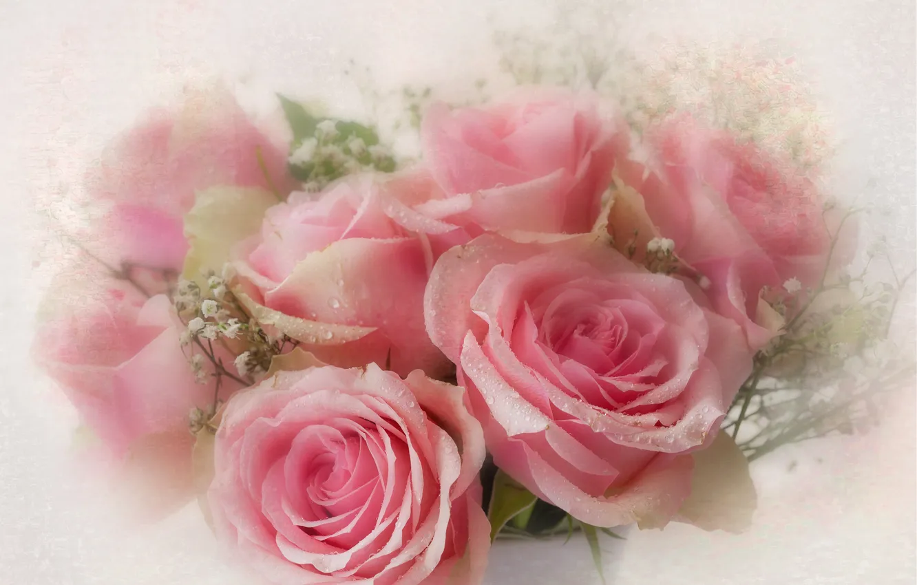 Photo wallpaper flowers, roses, bouquet, blur, pink, light background, blur, gypsophila