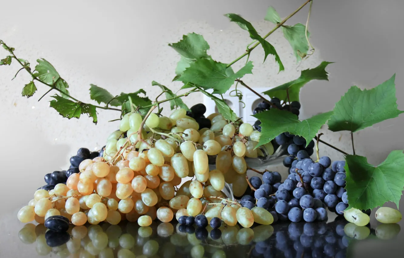 Photo wallpaper leaves, grapes, bunches