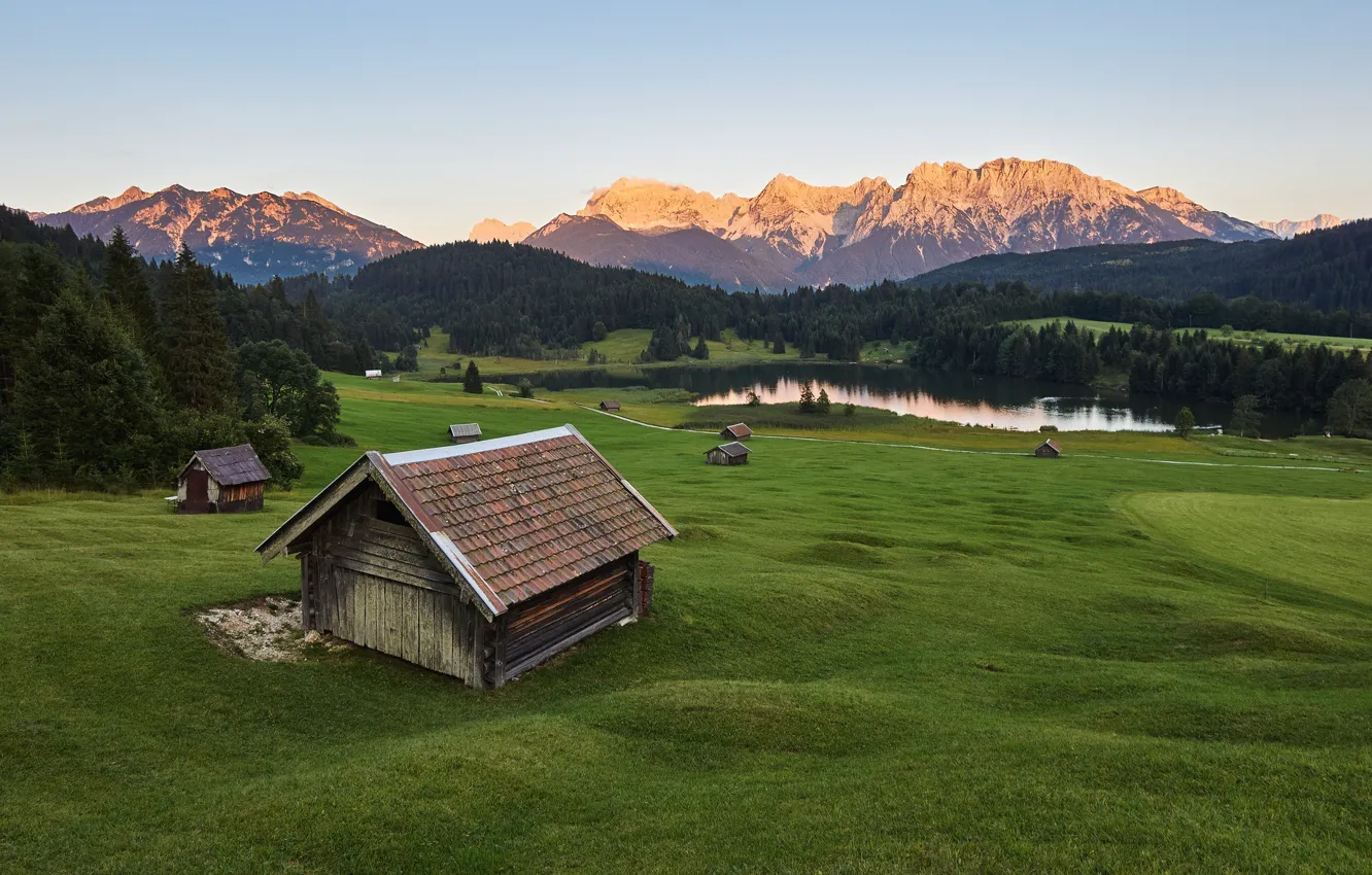 Photo wallpaper greens, field, forest, summer, grass, mountains, nature, green