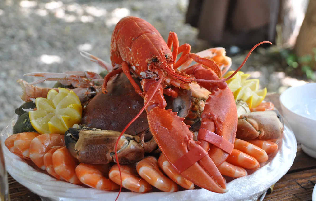 Photo wallpaper food, kitchen, dish, seafood