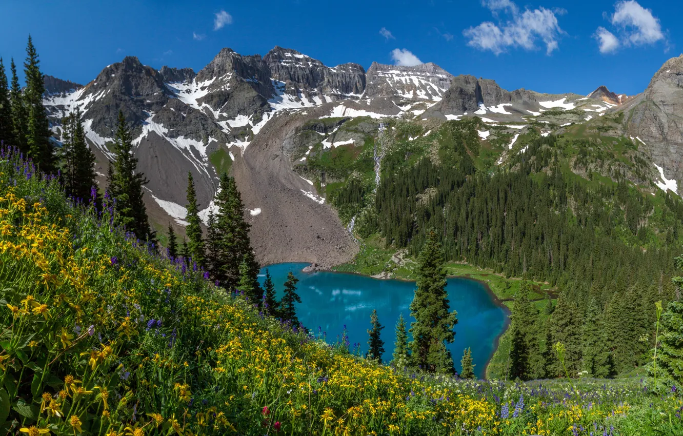 Photo wallpaper trees, flowers, mountains, lake, Colorado, Colorado, Rocky mountains, Rocky Mountains