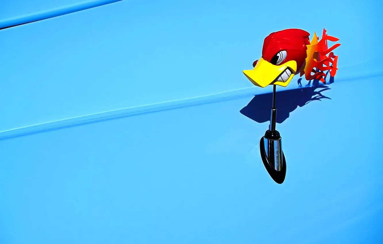 Photo wallpaper blue, toy, woodpecker