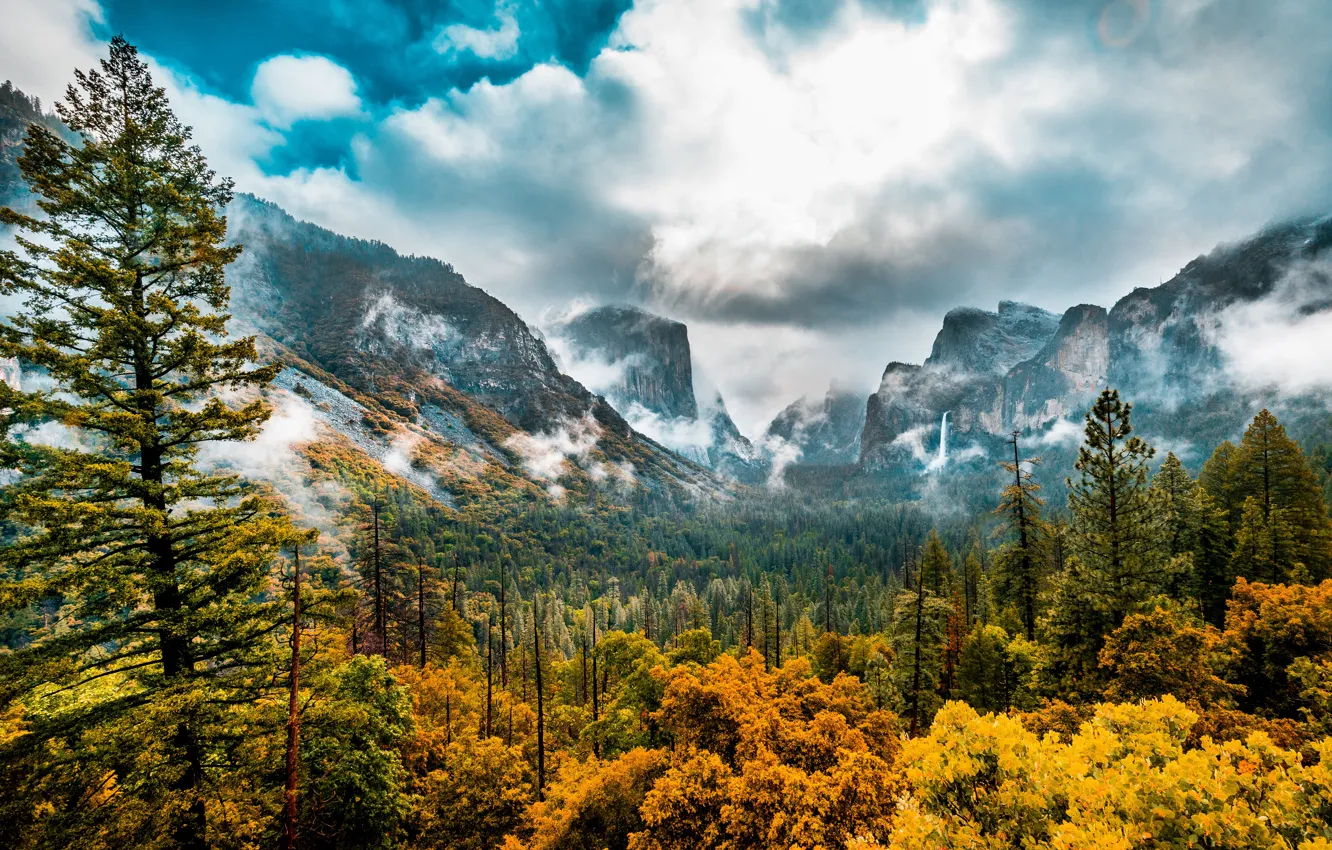 Photo wallpaper autumn, forest, trees, mountains, valley, CA, California, Yosemite Valley