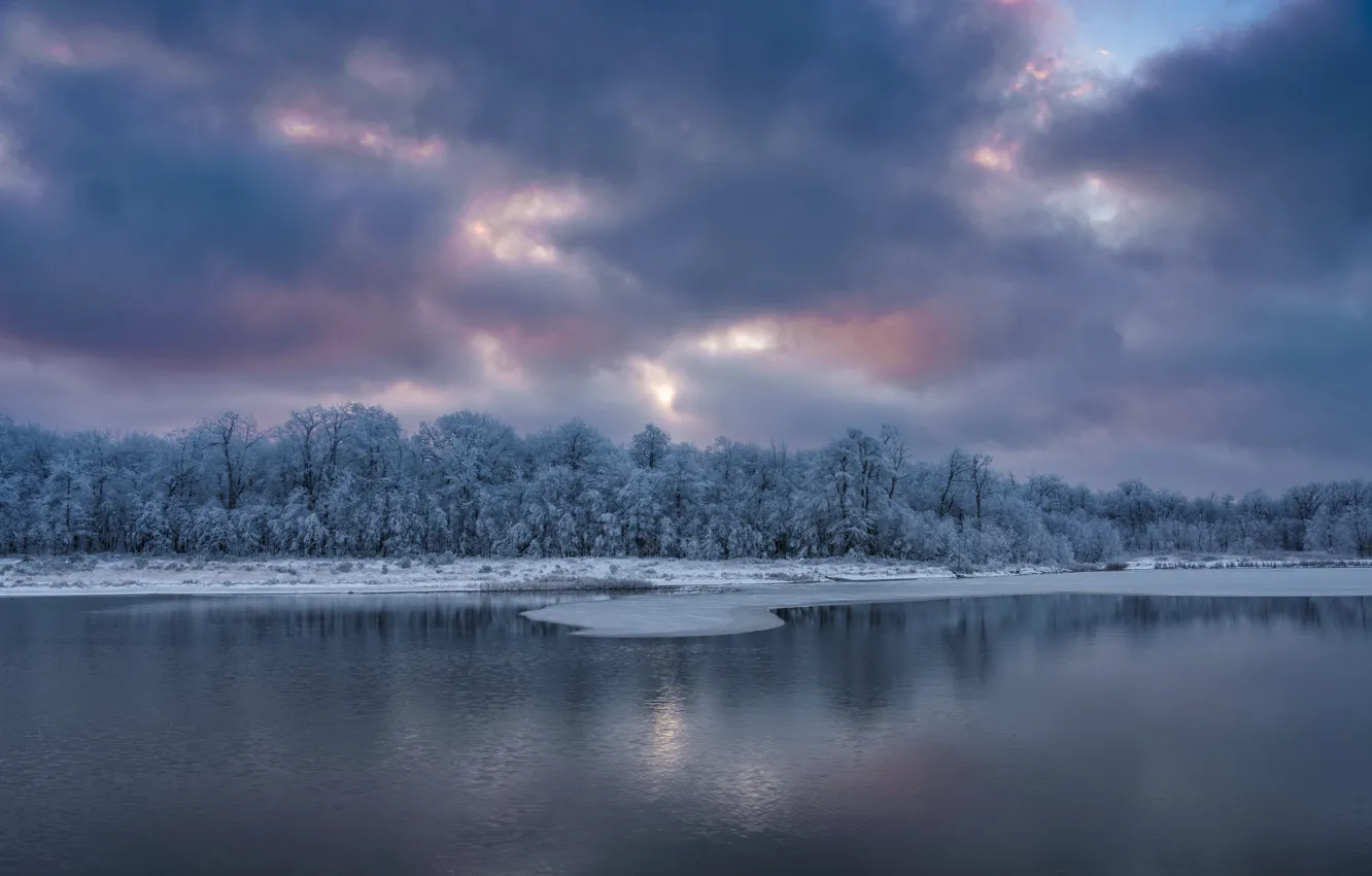 Photo wallpaper winter, forest, nature, lake