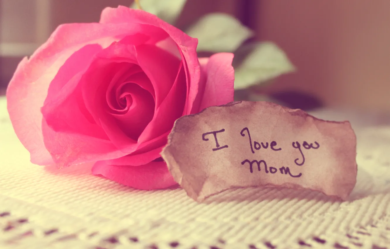 Photo wallpaper love, rose, note, words, mom, tablecloth