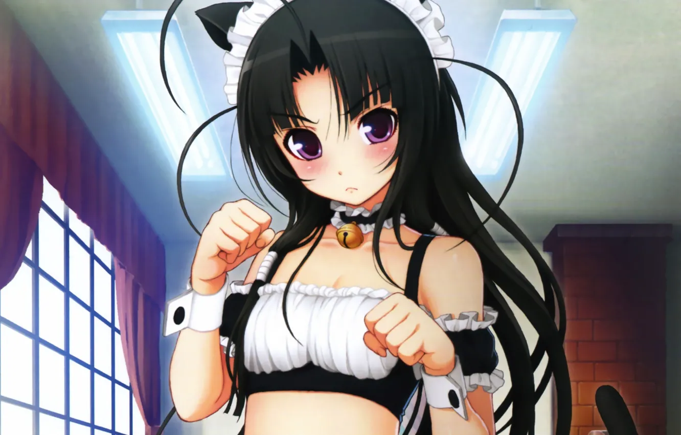 Photo wallpaper girl, anime, ears, Super Sonic, Suzu Fuji