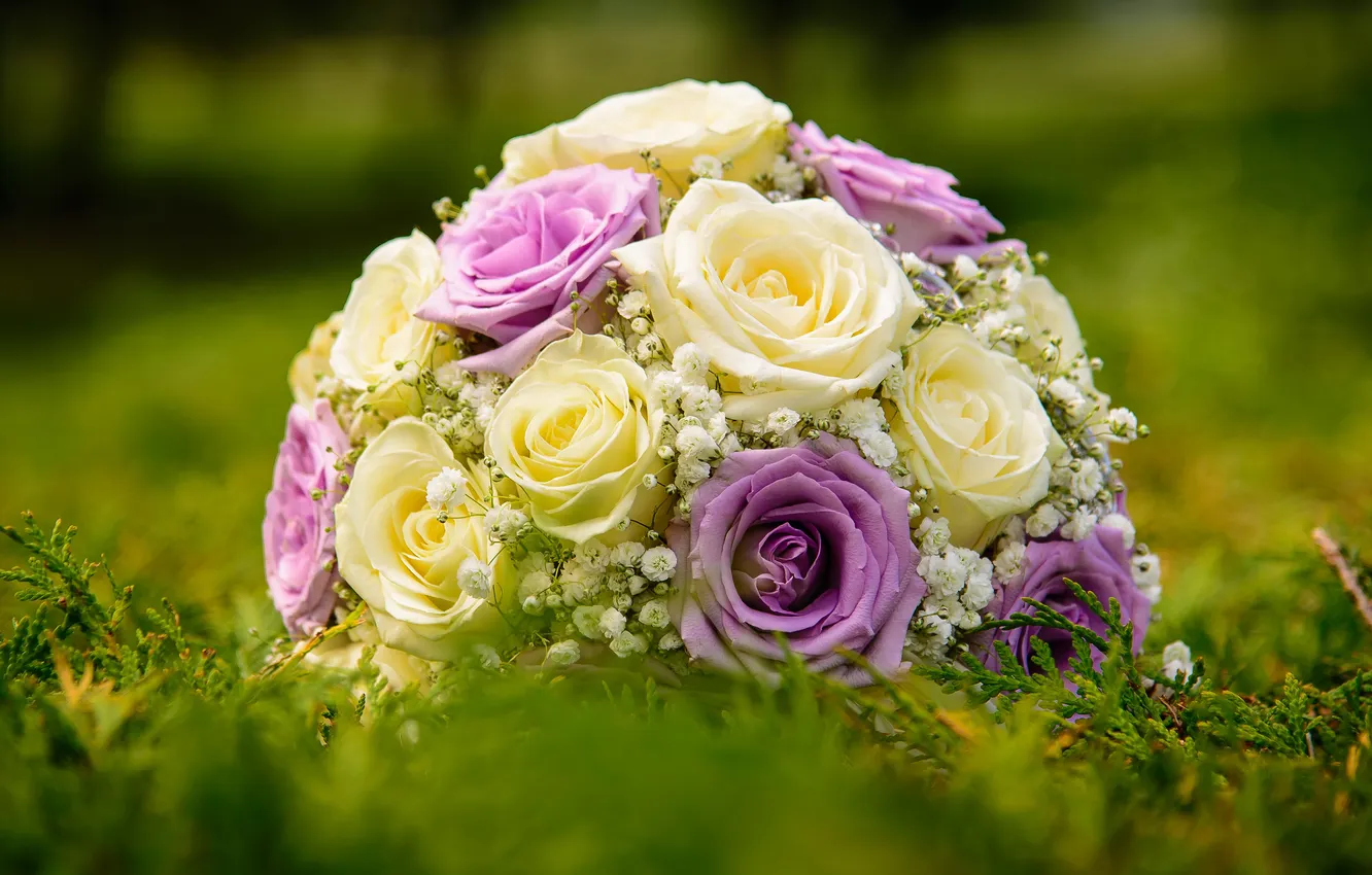 Photo wallpaper grass, flowers, yellow, glade, roses, bouquet, lies, white