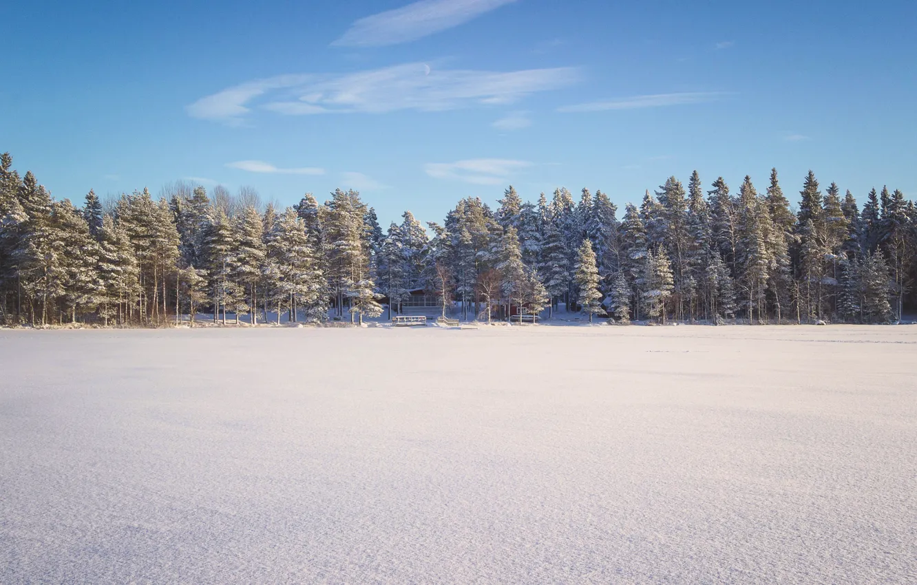 Photo wallpaper ice, winter, forest, snow, trees, lake