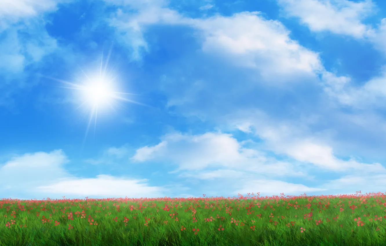 Photo wallpaper field, grass, the sun, flowers, red, art