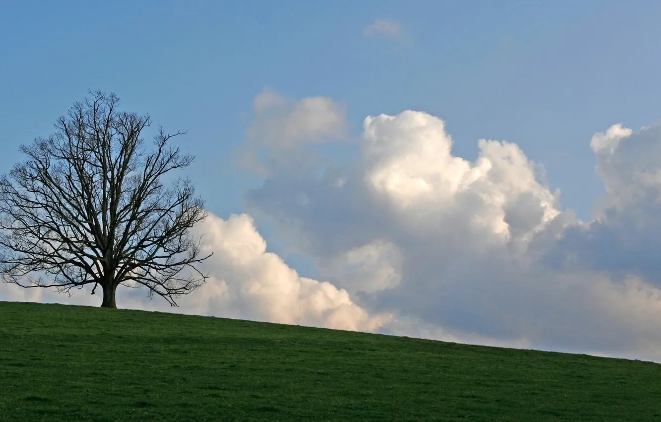Photo wallpaper clouds, Tree, meadow