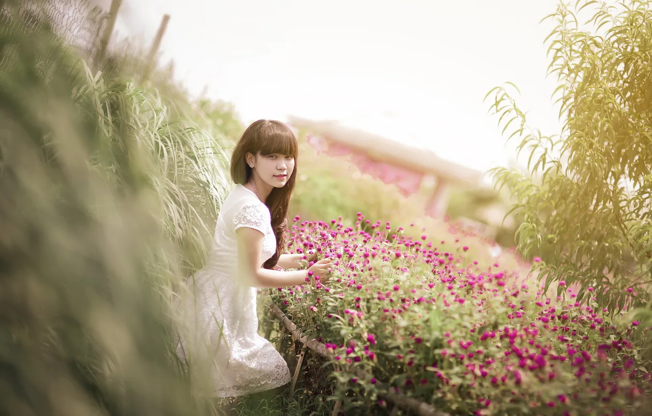 Photo wallpaper girl, background, Asian