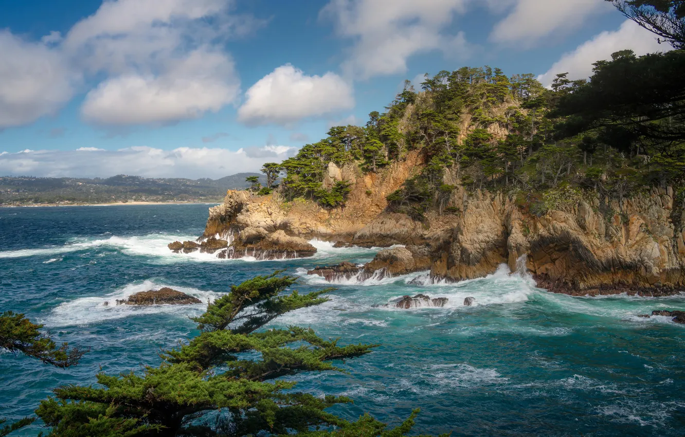 Photo wallpaper sky, trees, ocean, coast, California, rocks, surf, Trail Point Lobos