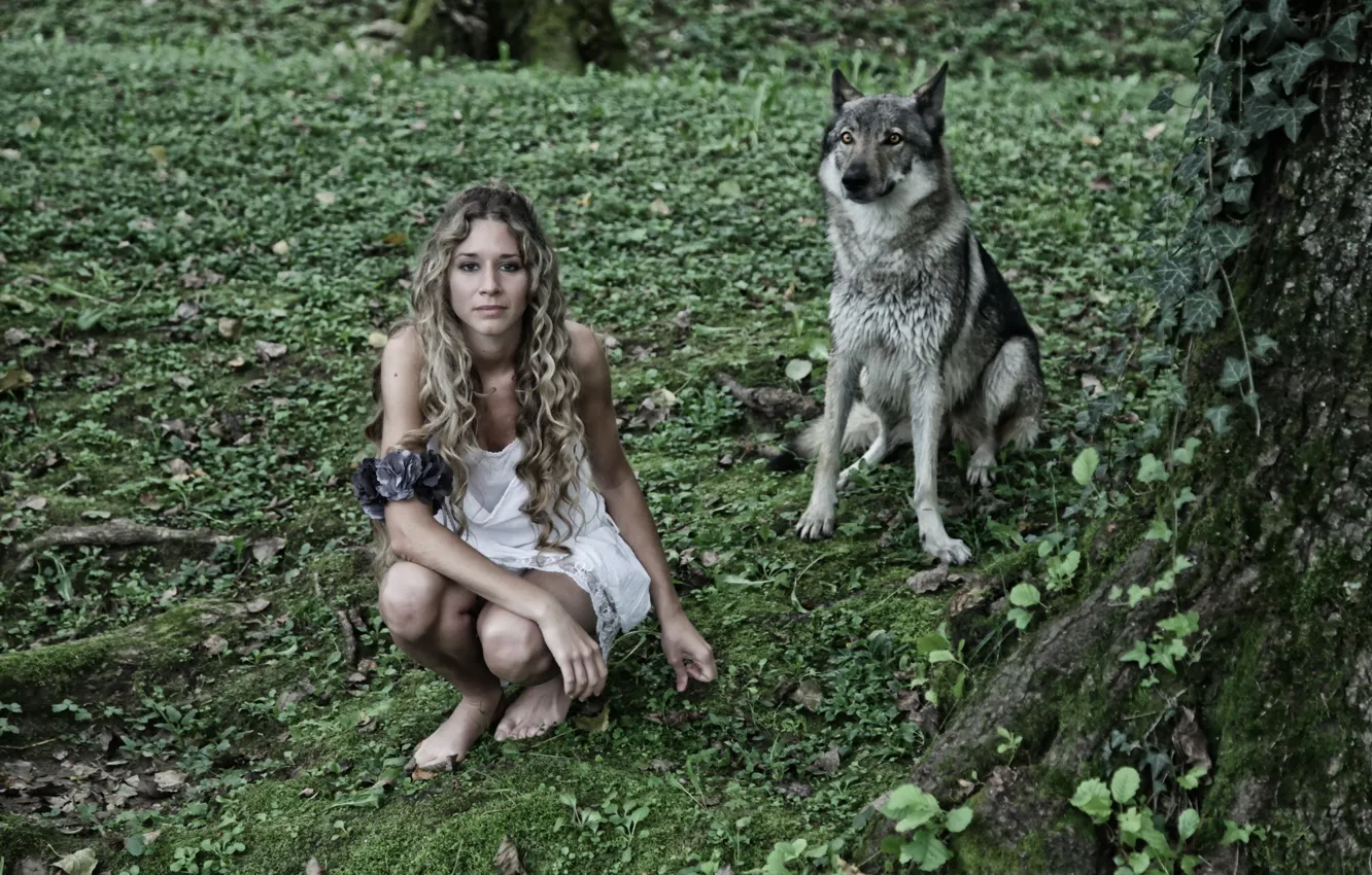 Photo wallpaper girl, background, wolf