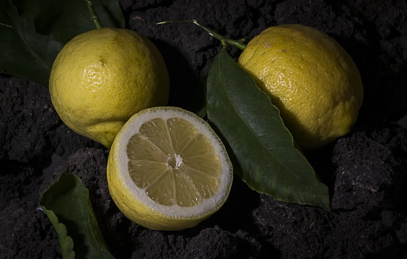 Photo wallpaper leaves, the dark background, earth, lemon, fruit, the ground