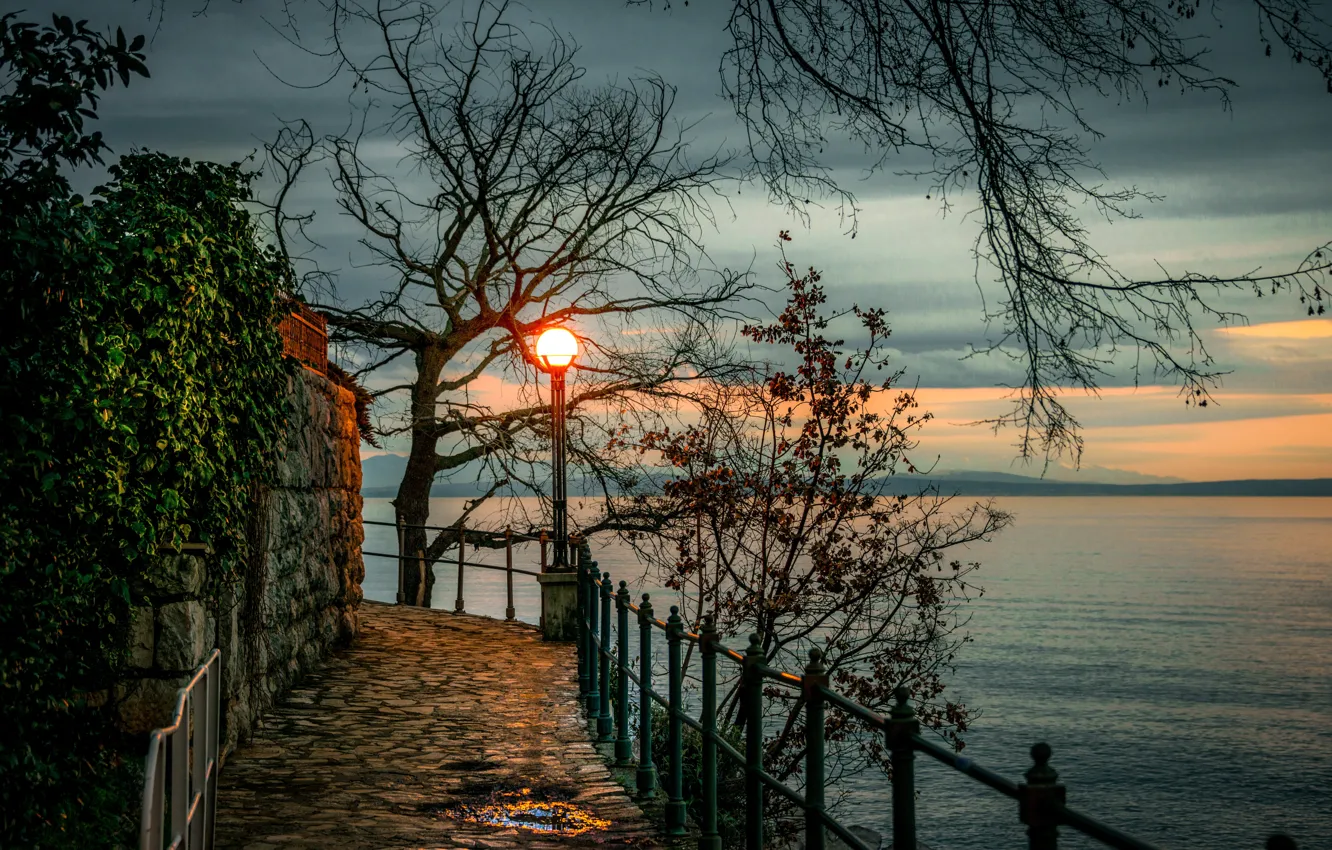 Photo wallpaper trees, sunset, branches, shore, the evening, lantern, Bay, Croatia