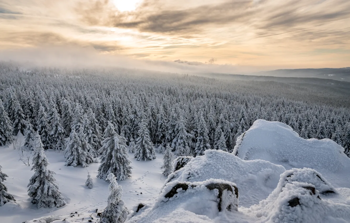 Photo wallpaper winter, forest, snow, Germany, Lower Saxony