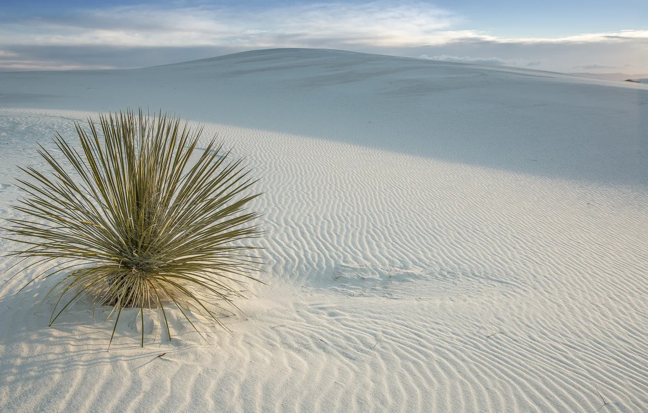 Photo wallpaper desert, USA, USA, New Mexico, San Miguel, White Sands National Monument