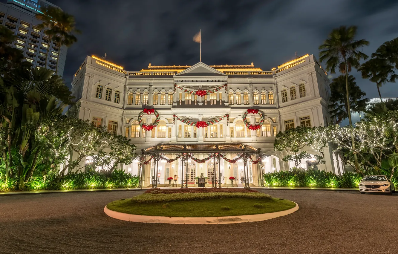 Photo wallpaper night, lights, palm trees, new year, area, Christmas, Singapore, garland