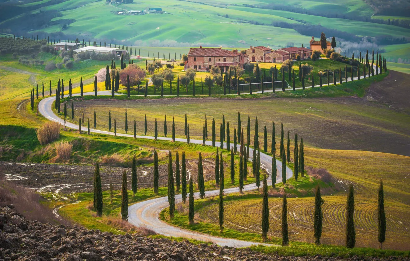 Photo wallpaper road, trees, field, home, Italy, Tuscany