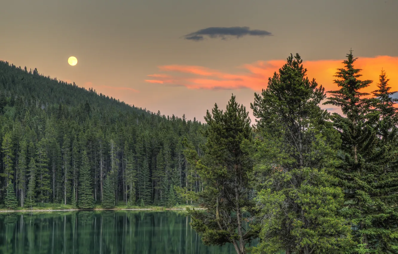 Photo wallpaper forest, trees, sunset, lake, Canada, Albert, Banff National Park, Alberta
