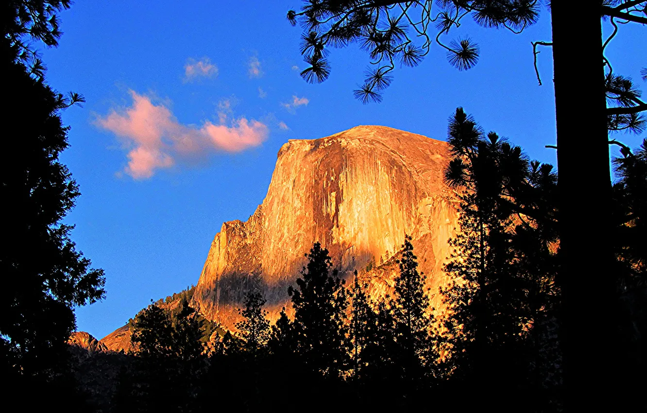 Photo wallpaper the sky, clouds, trees, mountains, rocks, silhouette