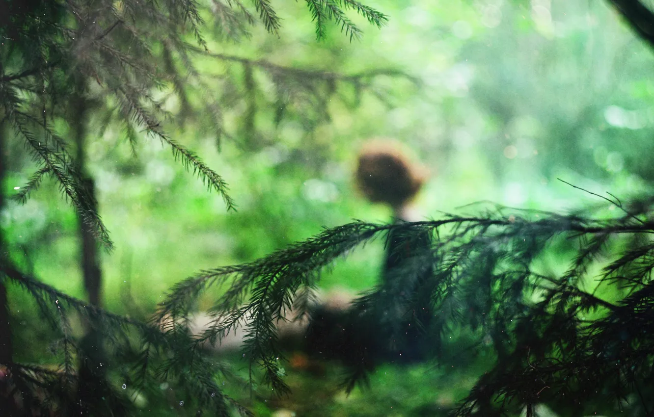 Photo wallpaper greens, forest, girl, branch, figure, tree