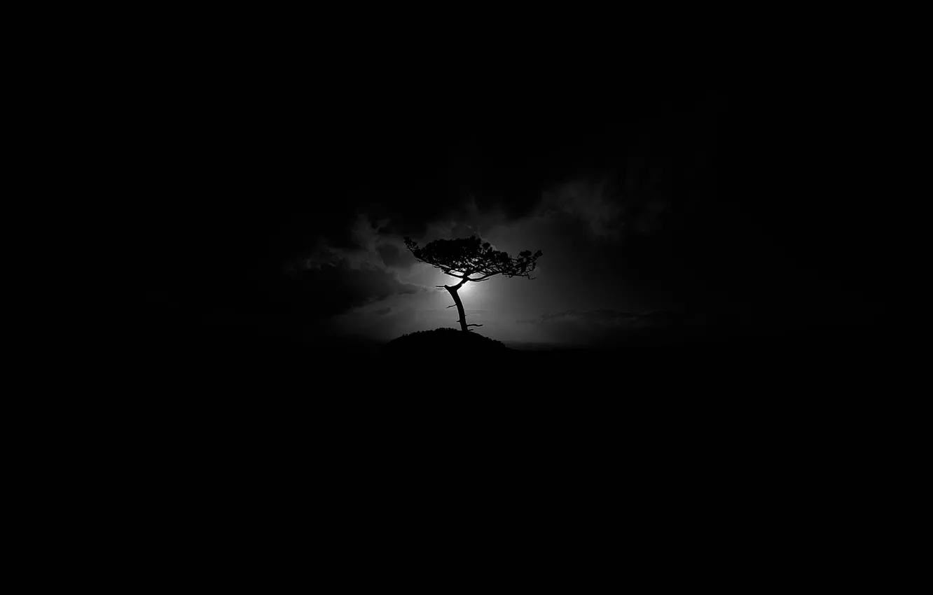 Photo wallpaper clouds, trees