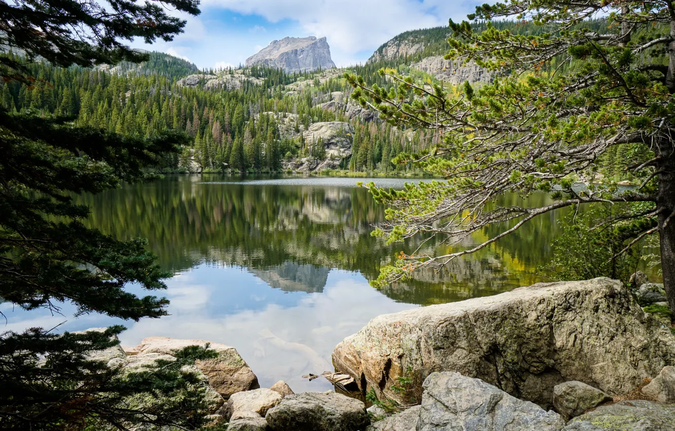 Photo wallpaper forest, trees, mountains, stones, pond