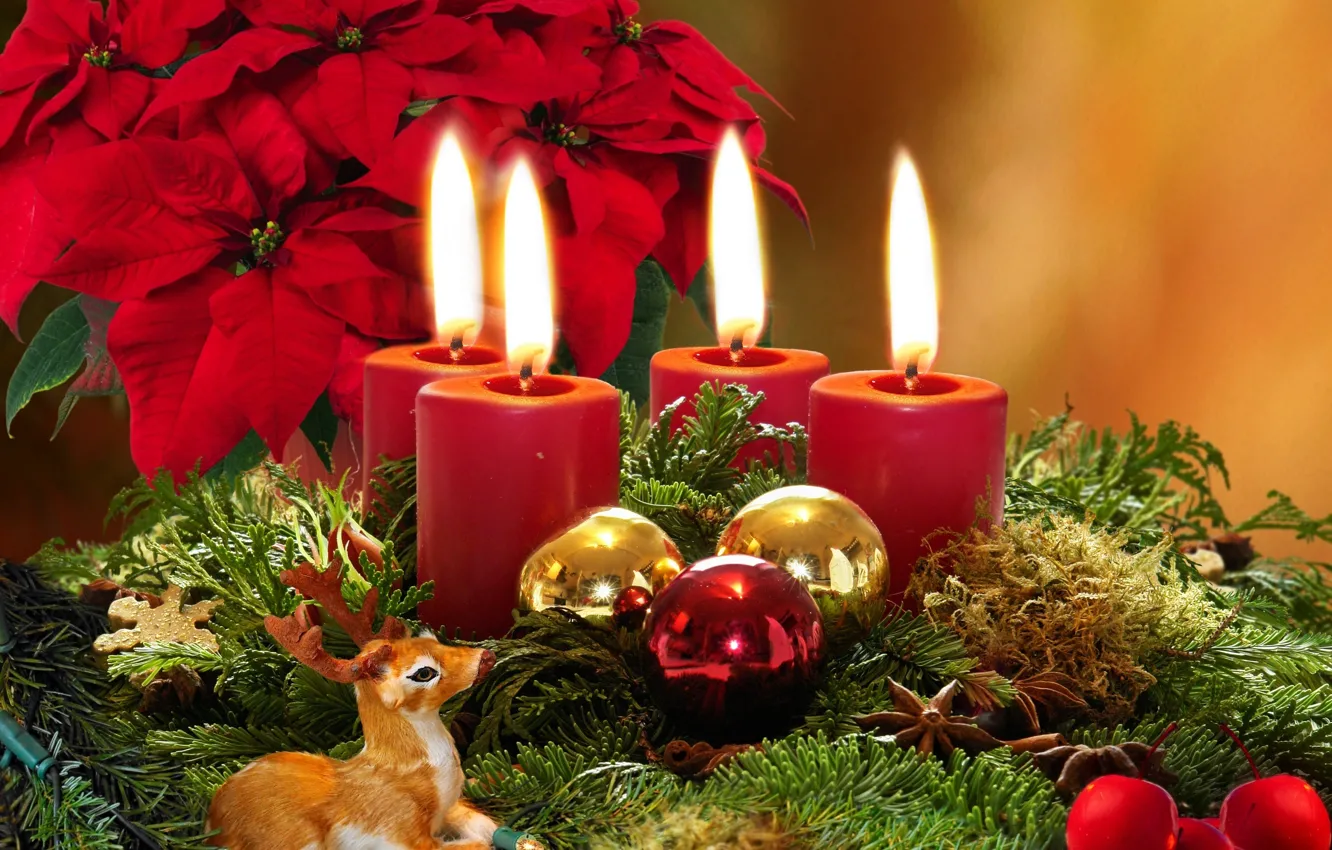 Photo wallpaper flowers, branches, balls, tree, candles, Christmas, Christmas, poinsettia