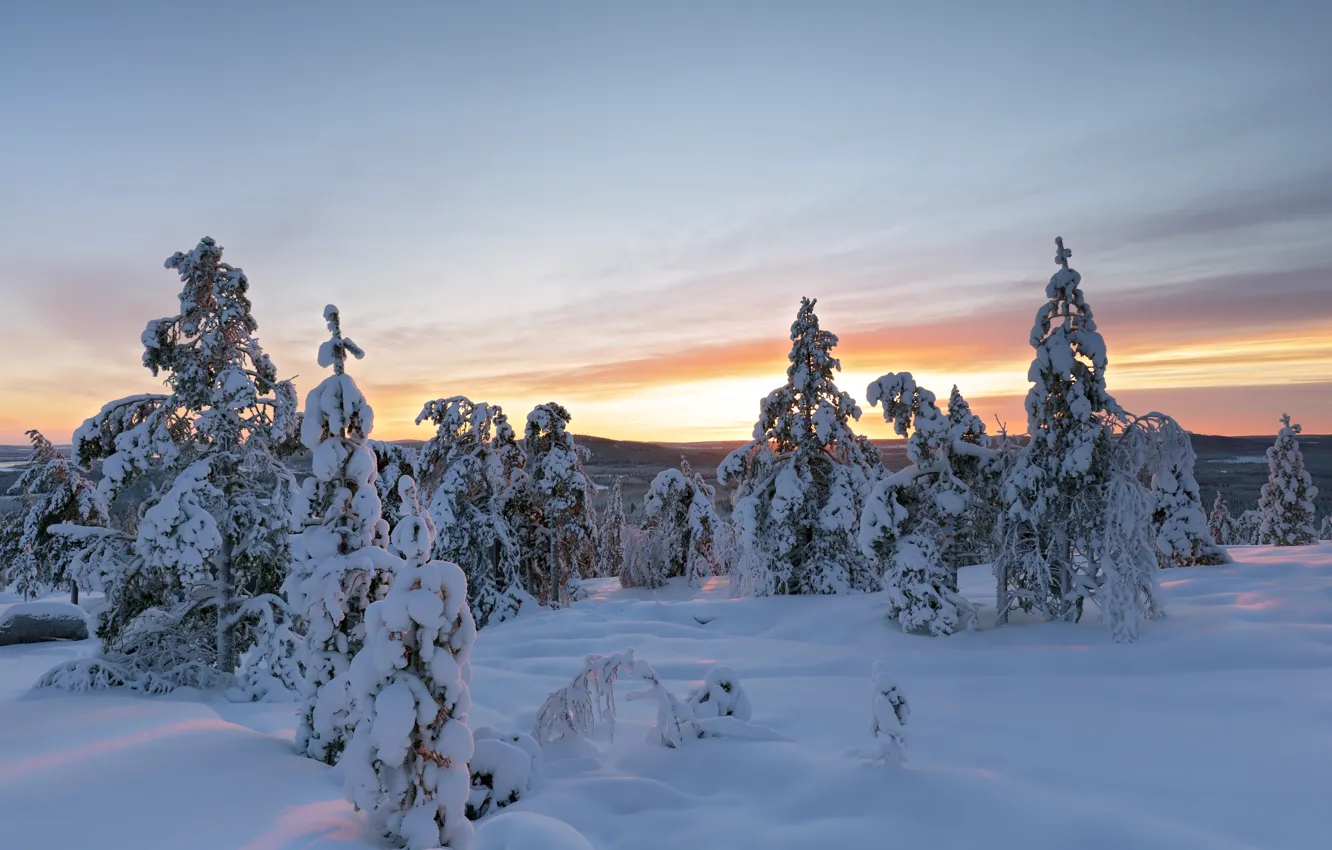 Photo wallpaper winter, snow, trees, the snow, Sweden, Sweden, Overtornea, Övertorneå