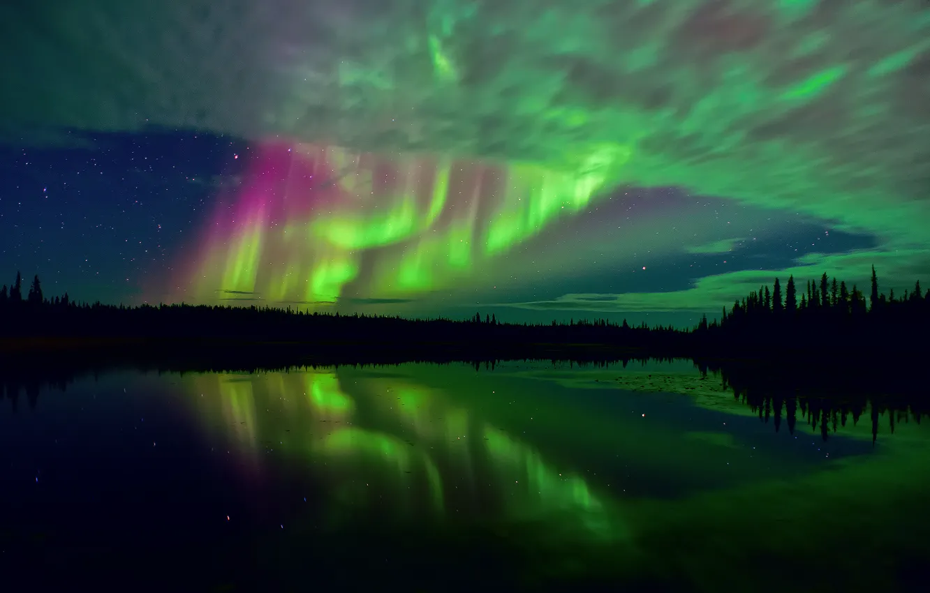 Photo wallpaper forest, the sky, stars, night, lake, reflection, Northern lights, excerpt