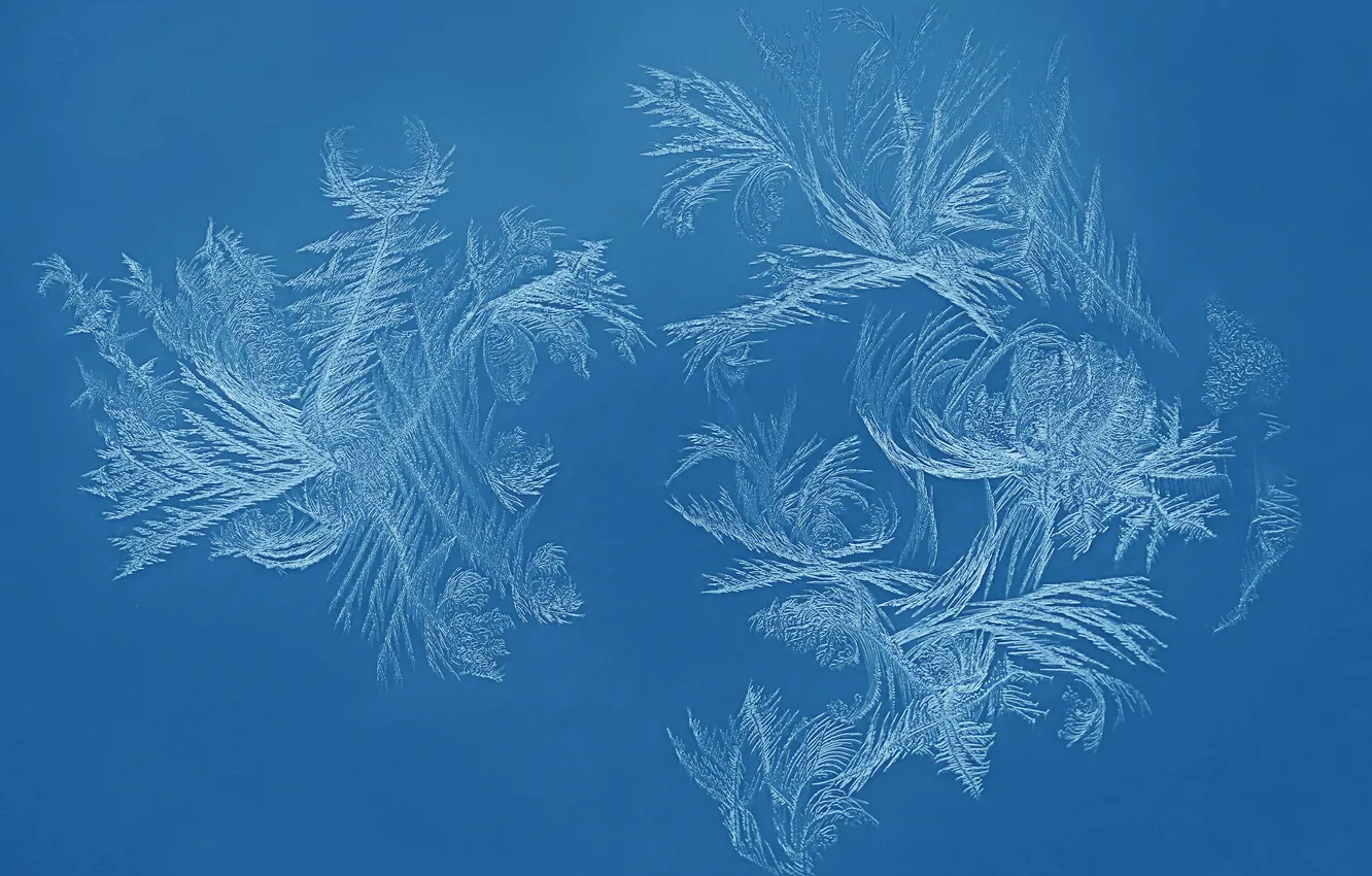 Photo wallpaper cold, winter, frost, glass, pattern, window, frost