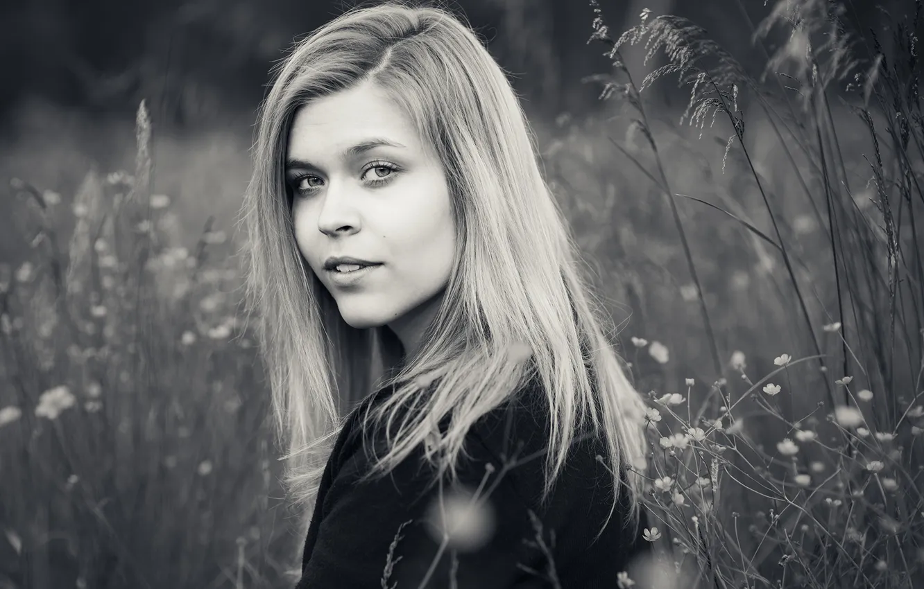 Photo wallpaper grass, look, girl, flowers