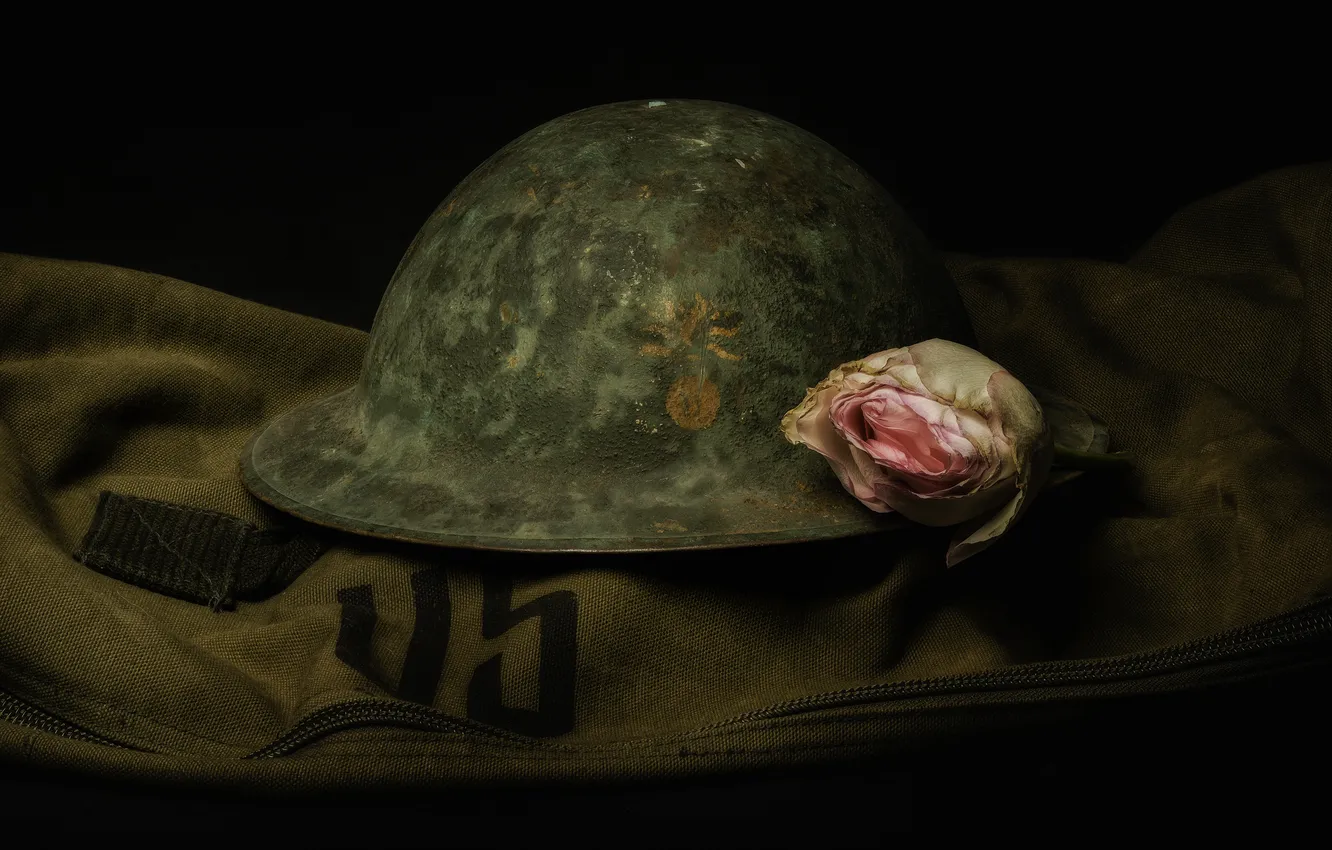 Photo wallpaper flower, background, helmet, army