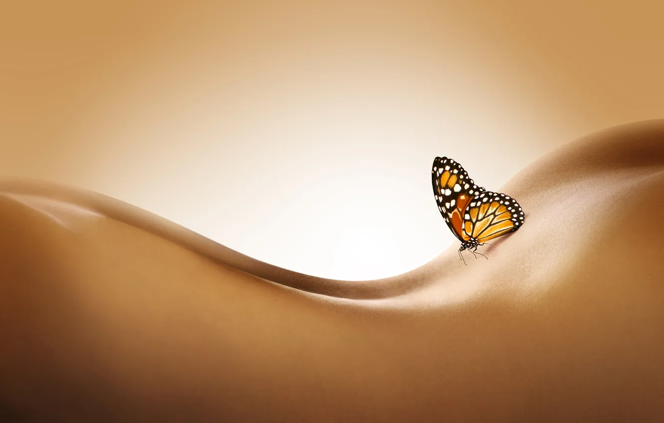 Photo wallpaper butterfly, tenderness, back, curves