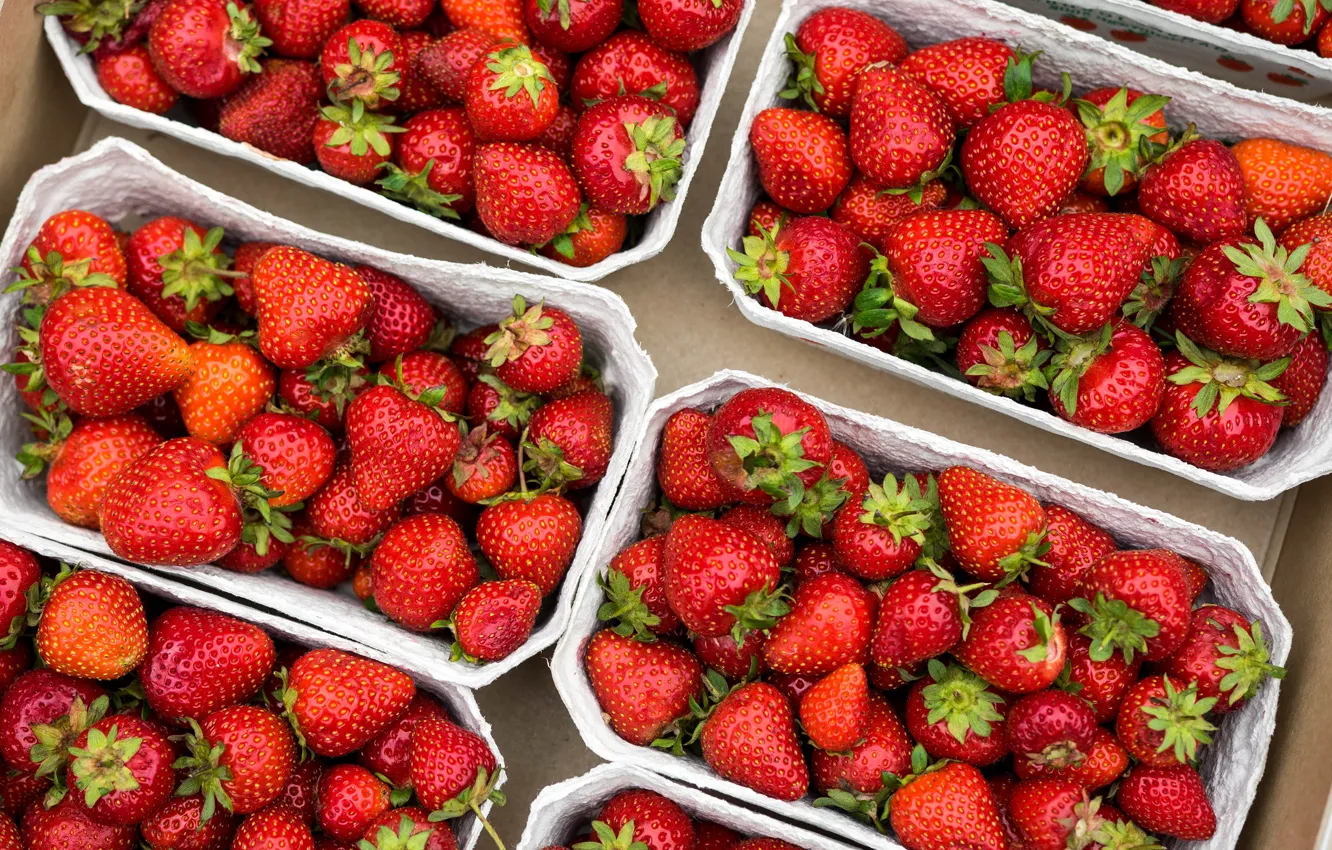 Photo wallpaper berries, harvest, strawberry, red, a lot, containers, packaging, boxes