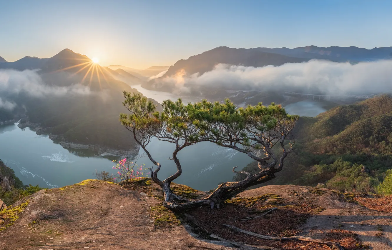Photo wallpaper the sky, trees, mountains, fog, open, dawn, hills, shore