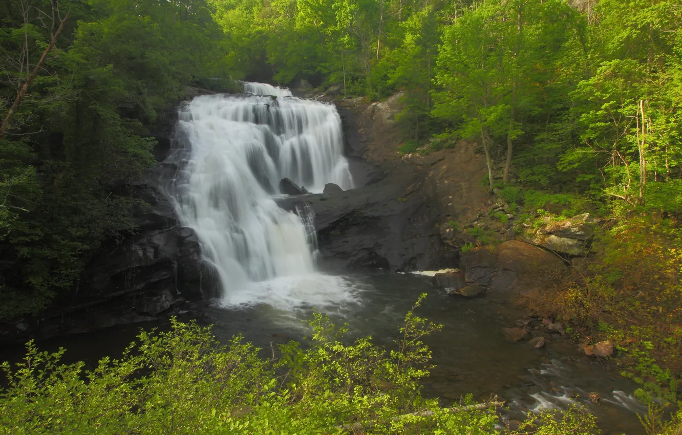 Photo wallpaper greens, forest, trees, stones, rocks, waterfall, USA, Tennessee