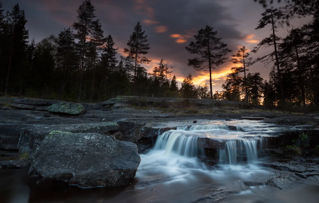 Photo wallpaper forest, trees, sunset, stones, rocks, waterfall, the evening, pine