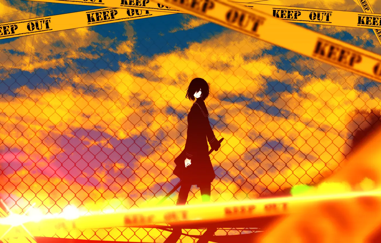 Photo wallpaper the sky, girl, the sun, clouds, sunset, weapons, the fence, katana