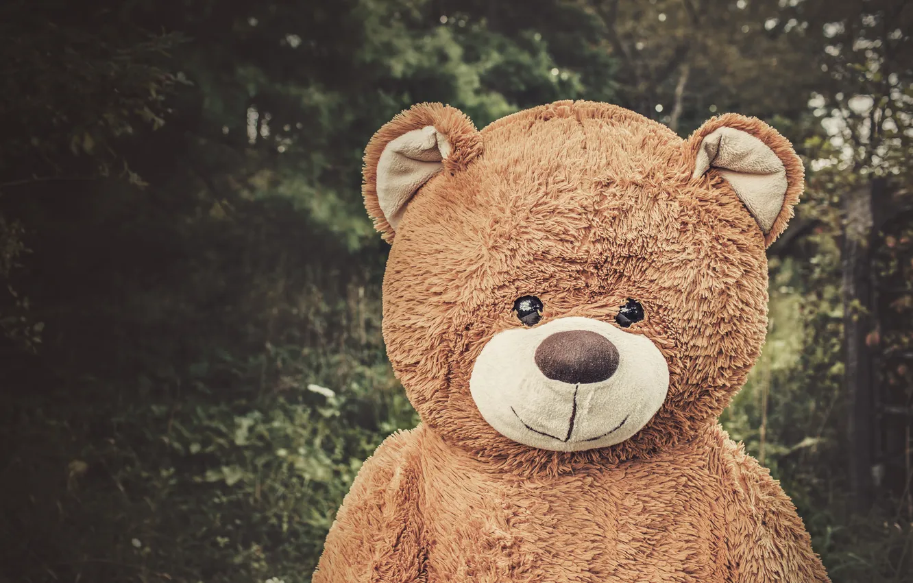 Photo wallpaper smile, toy, bear