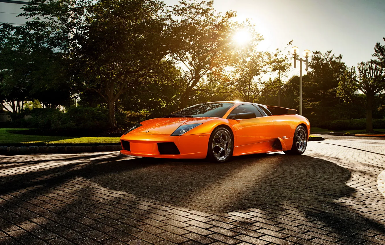 Photo wallpaper the sun, orange, supercar, Blik, Lamborghini Murcielago, Lamborghini