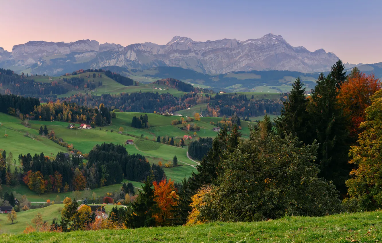Photo wallpaper autumn, forest, the sky, grass, mountains, valley