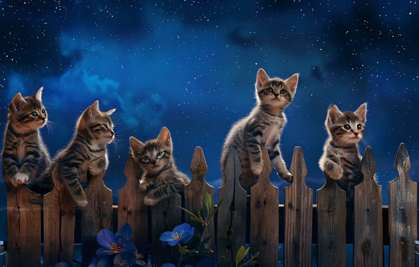 Photo wallpaper look, cats, pose, the fence, kittens, faces, AI art, neural network