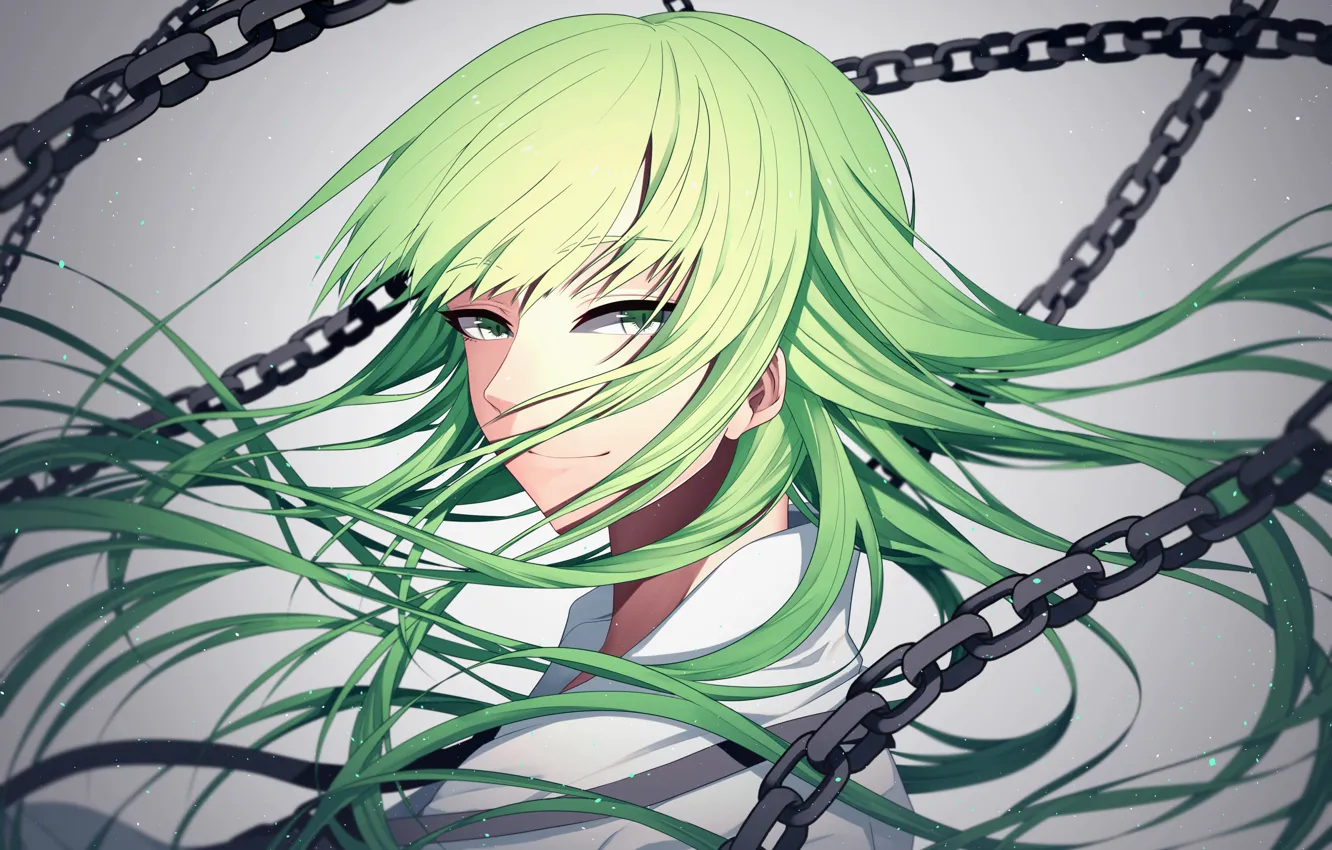 Photo wallpaper hair, anime, art, Fate/Grand Order, Enkidu