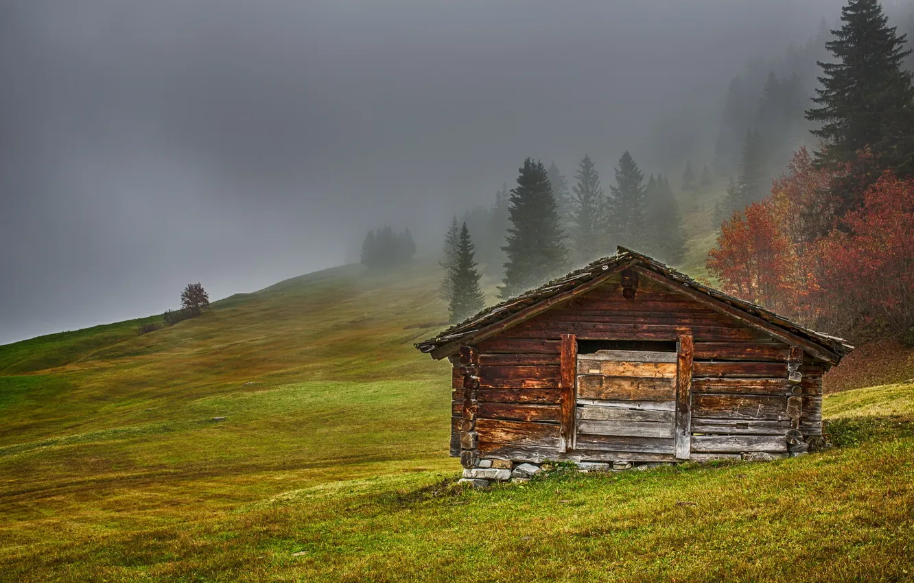 Wallpaper nature, fog, Canton of Bern, Mountain Hut for mobile and ...