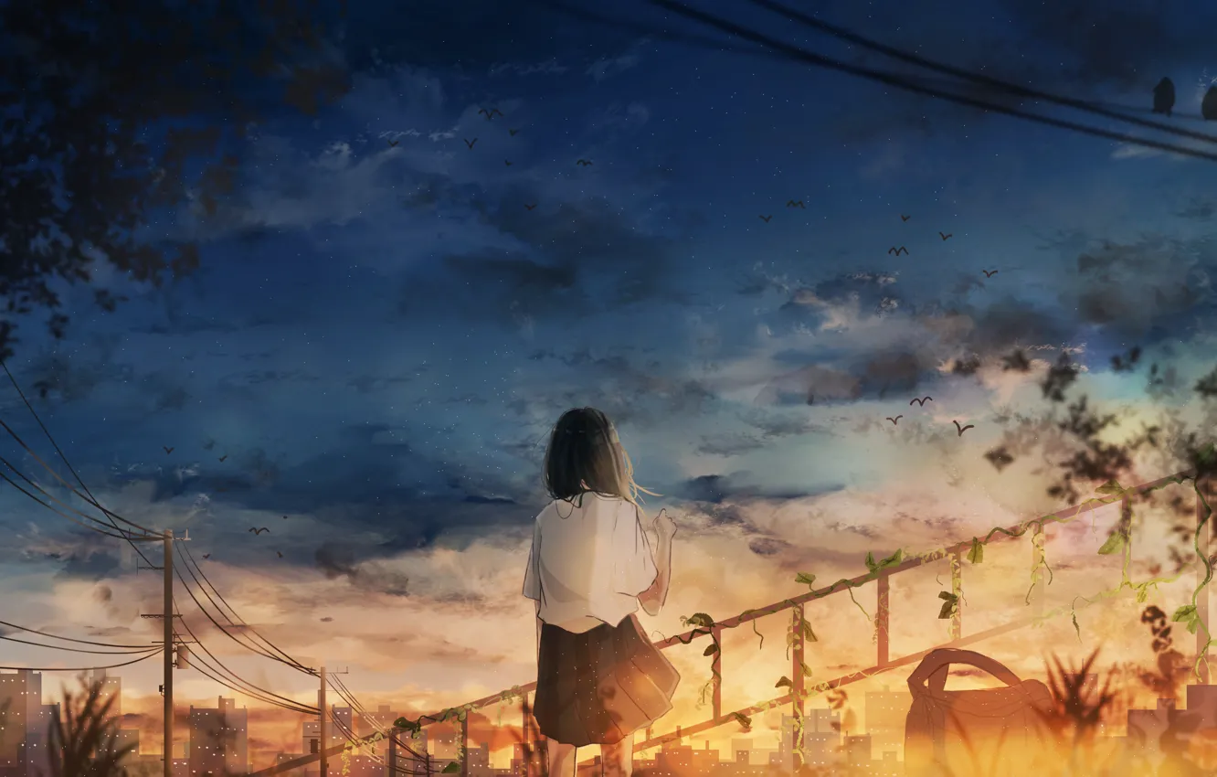 Photo wallpaper girl, sunset, the city